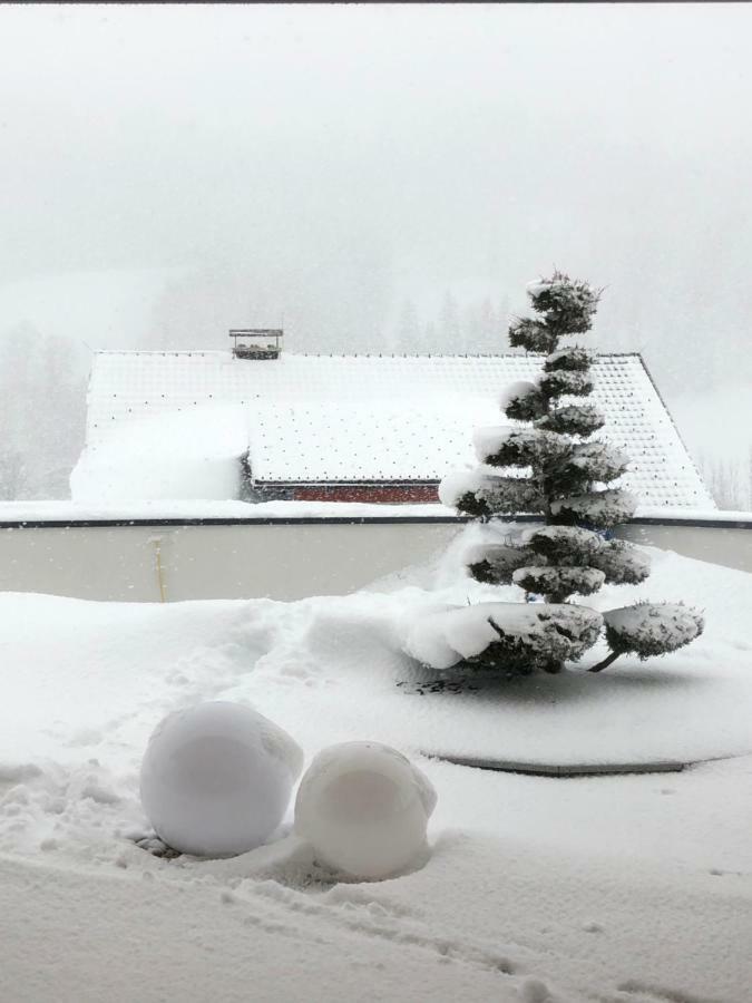 Appartment Sun Chalet Schladming Extérieur photo